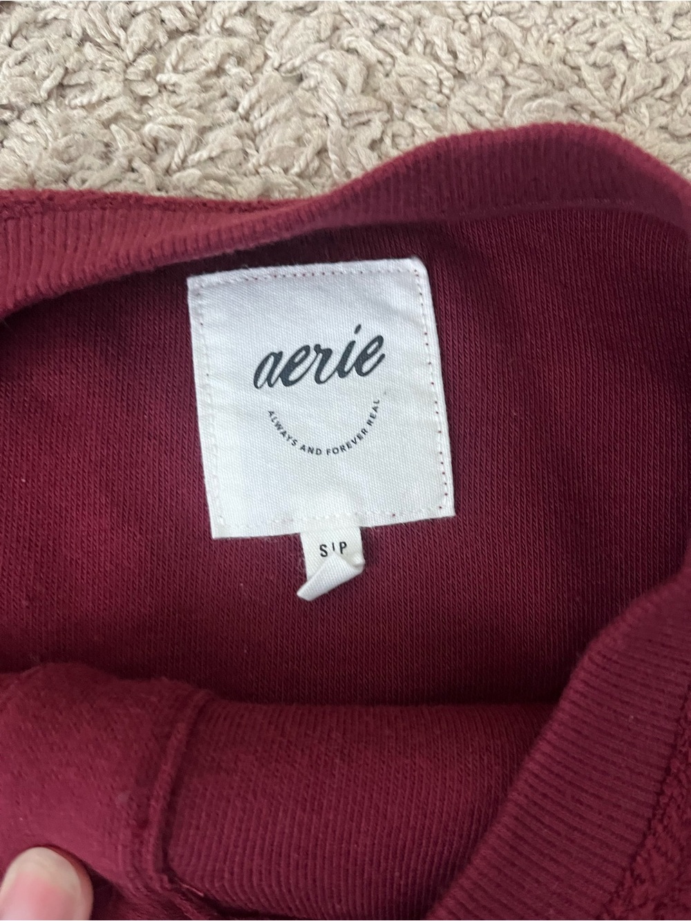 Aerie Sherpa Henley sweatshirt - Picture 3 of 4
